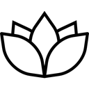 Psychotherapie Amsterdam Psychotherapie
